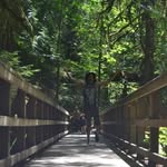 Michael Levi Litton - @michaellevilitton - Instagram