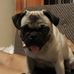 Michael LLanes - Facebook