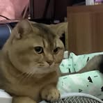 Michael Lo - Facebook