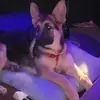 Michael Lo - @michael.lo511 - TikTok