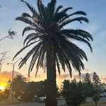 Michael Lockridge - @vilguemarees - Instagram