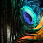Michael Locks - @michael.locksinsta - Instagram