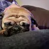michael_locurto - @michael_locurto - TikTok