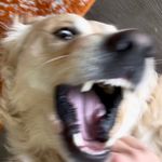 Michael - @michael.loewy - Instagram