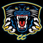 Michael Logan - @ccpanthersyouthorg - Instagram