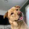 Michaellomando - @michaellomando - TikTok