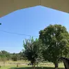 Michael Longstreet - @michael.longstree - TikTok