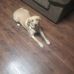 Mike Loomer - Facebook