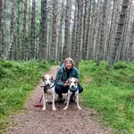 Michael Lord - @mickandtrailhound_tom_gus - Instagram