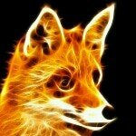 Michael Lösch - @foxi005_ - Instagram