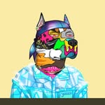 Michael Lowell - @michael_skyfii - Instagram