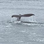 Michael_Lowell - @michael_lowell07 - Instagram