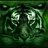 Michael Lowman - @kingtigertl2007 - TikTok