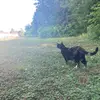 Michael_Luberto - @michael_luberto - TikTok