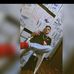 Michael Luersen - Facebook