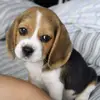 Michael - @michael.lukas26 - TikTok