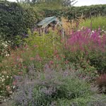 David Michael Lundie - @lundiedavid - Instagram