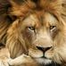 Michael Luzny - Facebook