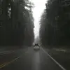 Michael Lyons - @michael.lyons - TikTok