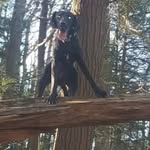 Michael Mace - @mace6570 - Instagram