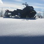 Michael Maclachlan - @mmac989 - Instagram