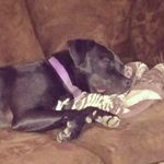michael - @michael.maddi2010 - Instagram