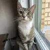 MaddyFunTime - @michaelmaddy4 - TikTok
