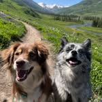 Michael & Maddy - @mike.and.maddy - Instagram
