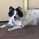 Michael Maez - @milemaez - Instagram