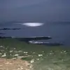 michael_maggi - @michael_maggi - TikTok