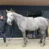 Michael Maher - @michael.maher85 - TikTok