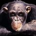 Michael Maidl - Facebook