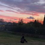 Michael Maiorino - @michael.maiorino - Instagram