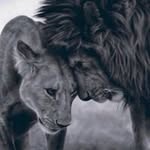 Michel Maisonneuve - @michel.maisonneuve.7 - Instagram