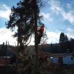 Michael Majewski - @michael_majewski - Instagram