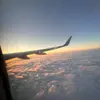 Michael.Mal - @michaelmal - TikTok