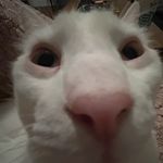 Michael Malachowski - @michael_m2567 - Instagram