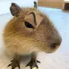 Michael Malone - @michael.malone86 - TikTok