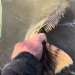 Michael Malone Fishing - @michael.malone.fishing - Instagram
