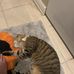 Michael Mangarelli - Facebook