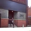 Michael Mangini - @michaelmangini - TikTok