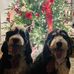 Michael Mangino - Facebook