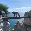 Michelle Manship - @michellemanship - TikTok