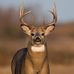 Michael Manuel - Facebook
