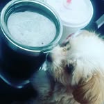 michaelmaramba - @michaelmarkmaramba - Instagram