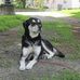 Michael Marcoux Sr. - Facebook