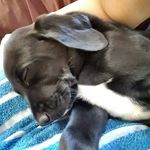 Michael Marker - @markerflys - Instagram