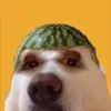 Michael Markham - @devmike123 - TikTok