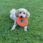 Michael Markoff - @waytoosmart555 - Instagram