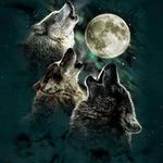 Michael Marquart - @mm10152019 - Instagram